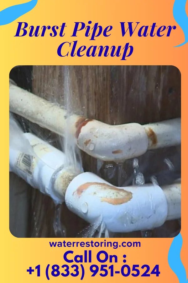 Burst Pipe Water Cleanup in Wadsworth, OH